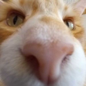 Meet your Posher, Zero